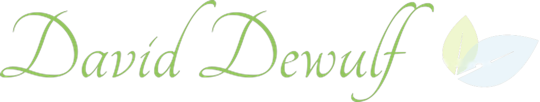 David Dewulf